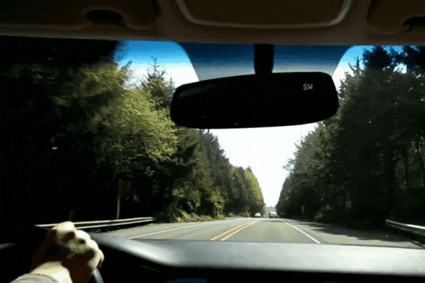 A driver’s view from inside a car with ceramic window tint, showcasing a clear yet shaded windshield that blocks harsh sunlight. The tint reduces glare while maintaining visibility, offering maximum UV and heat protection regardless of shade percentage. The road ahead is lined with lush green trees under a bright sky, illustrating a comfortable, glare-free driving experience.