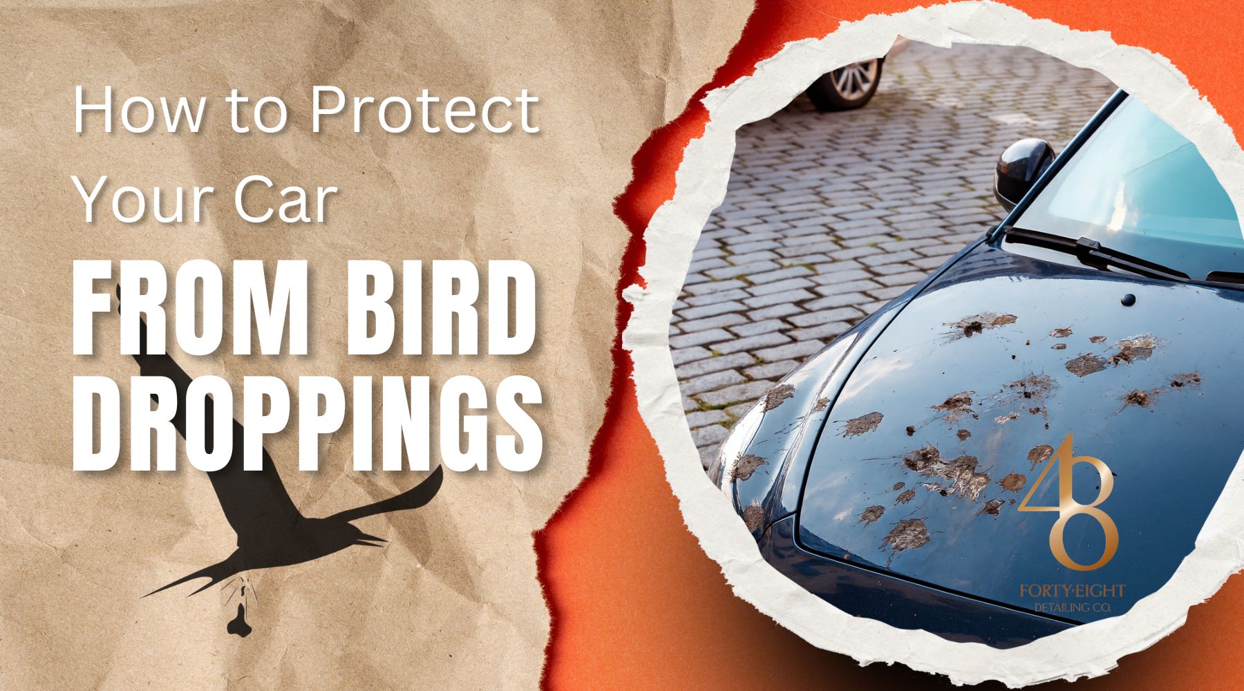Graphic showing the text How to Protect Your Car from Bird Droppings next to a photo of a black car hood heavily splattered with bird droppings in Surprise Arizona.