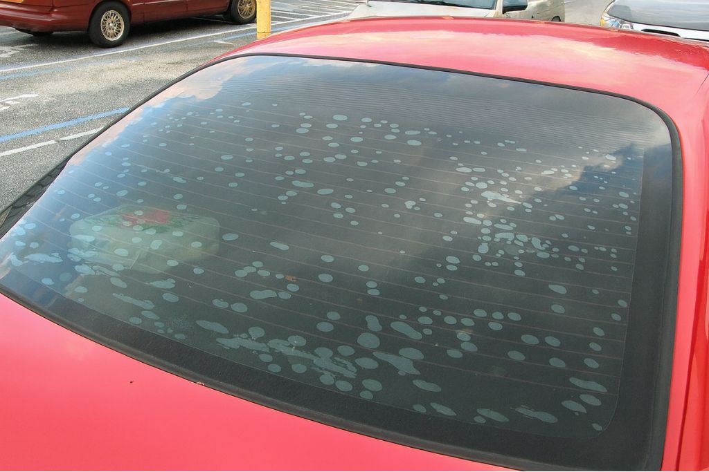 Rear window of a red car with bubbled and deteriorating window tint, showing why installation matters for maintaining heat-blocking performance and a clear view.