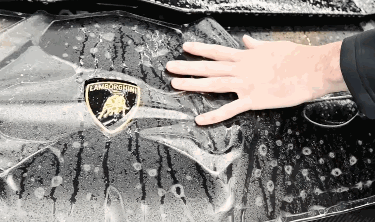 Hand smoothing paint protection film over the front of a black Lamborghini emblem while the surface is wet with application solution. The clear paint protection film conforms tightly to the curves of the hood to protect the paint underneath.